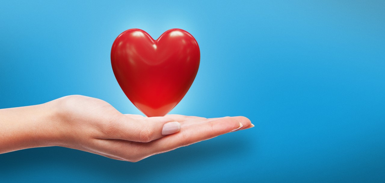 Laissez parler votre coeur. Faites un don!